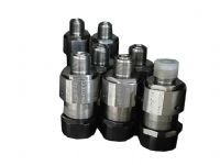 DN10、DN15、DN20、DN25船用不銹鋼信號安全閥